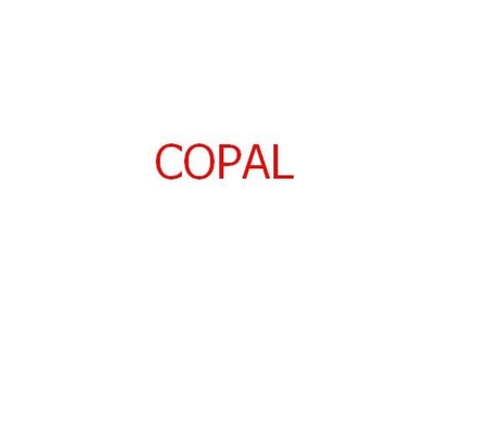 χημικό φίλτρο για Copal 6030/6550 minilab 140x22x35mm προμηθευτής